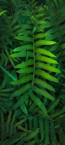 G2c97f7340f7117668c080fdef13506a32ba2572601ace2a348fd7238a104832cb7bd36ab0b2038243188335b19155cb4781c6adf3ed10c9777e0da30ceaf16a7 640