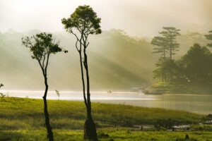 G33168200b46beb2d8cc84a1763f7aa93a8bf429986b54b1fcad6f99045f5ba372e5f6d8a0ceb5de7a583a074f6b1773b831575901fbaae9d535467c4eaca9051 640