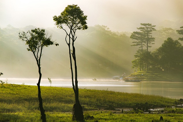 G33168200b46beb2d8cc84a1763f7aa93a8bf429986b54b1fcad6f99045f5ba372e5f6d8a0ceb5de7a583a074f6b1773b831575901fbaae9d535467c4eaca9051 640