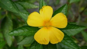 G67d171ca653086a682864f311bdb639fa94644a39cf62329856f563f68f6e925be7f1683863350e7b11b26fe300521fcfa5bf7487433a2580129b6081be0ef39 640