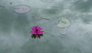 Gaba2aca2b3e4faa7c1fd21a8e44531b3f6a9634a1cb221555950e3e71bba480dab3832887aad019c5aad9a4c52c565bbd7d517870985d8348efdcd317a376175 640